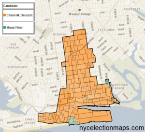 2017 City Council District 48 Democratic Primary 